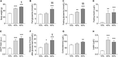 Neurochemical Modifications in the Hippocampus, Cortex and Hypothalamus of Mice Exposed to Long-Term High-Fat Diet